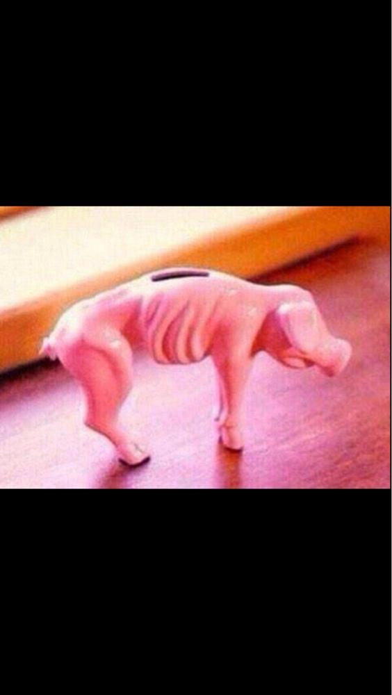 HerHumour's tweet photo. My piggy bank be like... http://t.co/FrTbcEq5tj