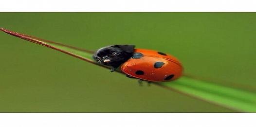 HealthRobot's tweet image. new post 07/04/15 hpfy.me/p/5965a2