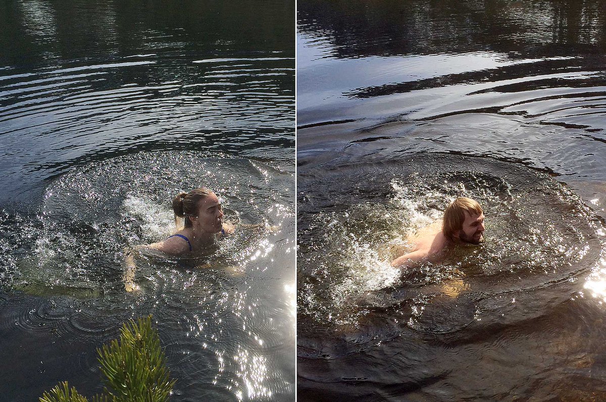 Tekstgården tweet media