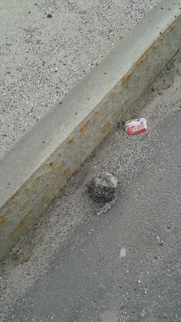 Tim_McCaff's tweet image. If you lost your hornets nest its by the crumpled beer can