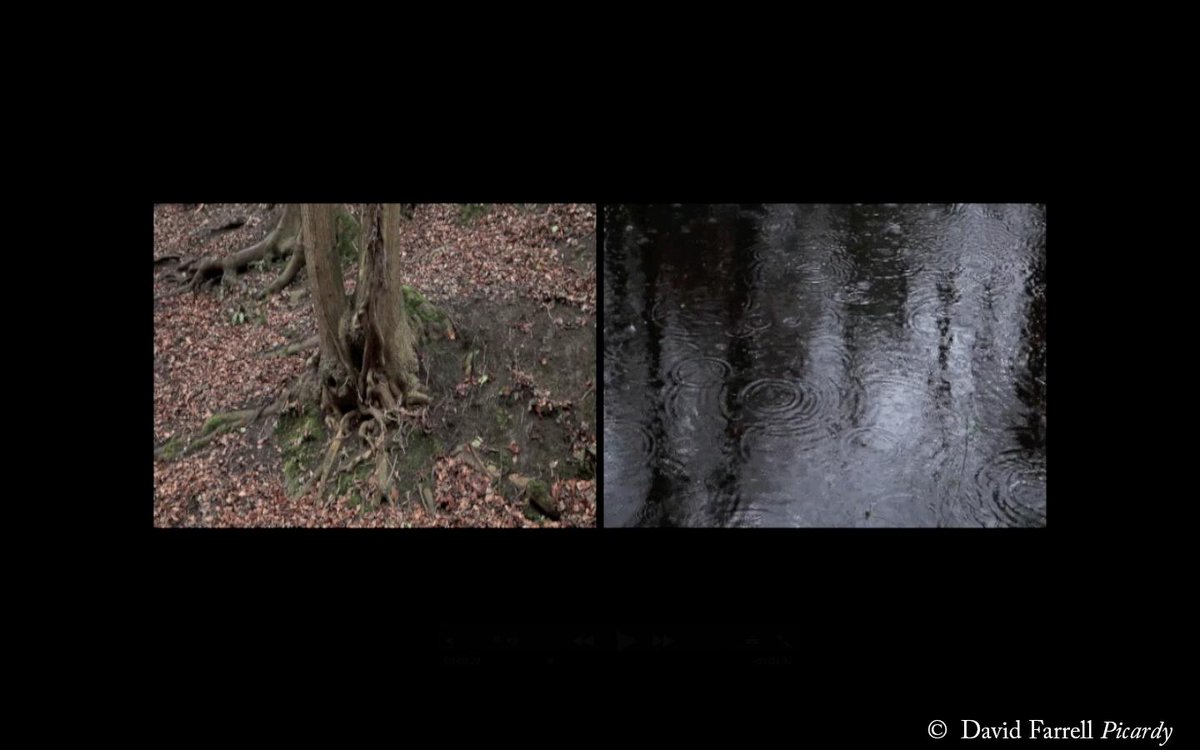 PoetryProjectEU's tweet photo. video David Farrell / Picardy 
http://t.co/qkOf9VeZFw http://t.co/rDf7lmBKOf