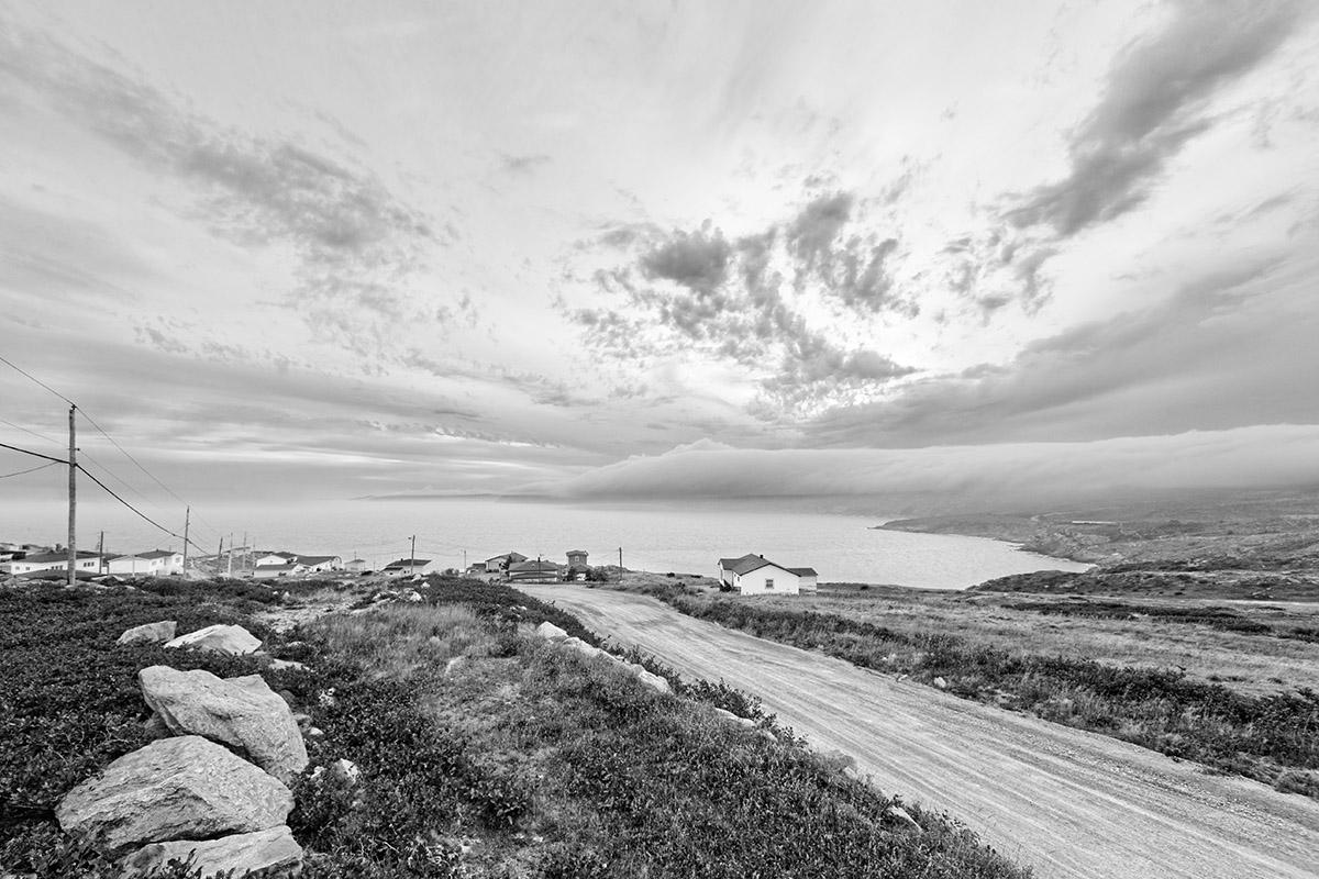 NL Classifieds tweet media