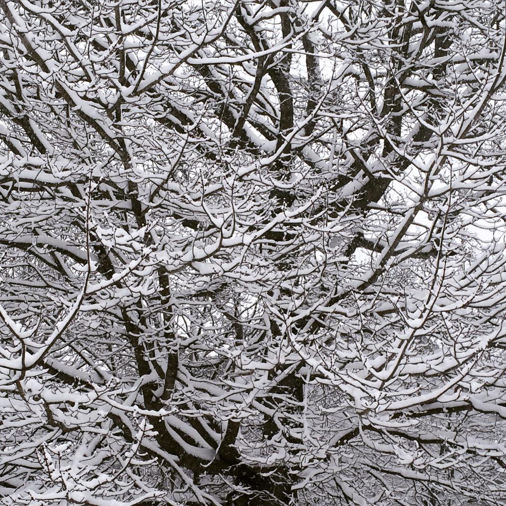 WinnieKS1's tweet photo. Another beautiful spring day in #Halifax #winterIsurrender http://t.co/t8zT3fI1sC