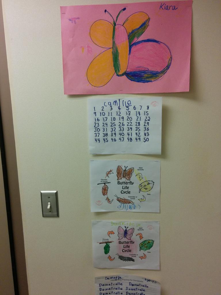 SunteraScott's tweet photo. Our life skills student love studying the butterfly cycle http://t.co/j5hox7Fawg