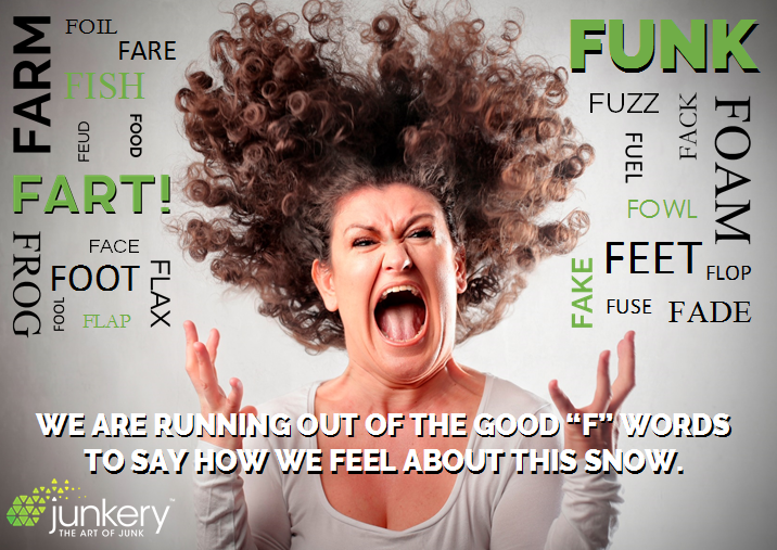 TheArtofJunk's tweet photo. We are running out of the good "F" words to say how we feel about this snow! #Snowmageddon2015 #Halifax #junkery http://t.co/DUuNjMF0Bd