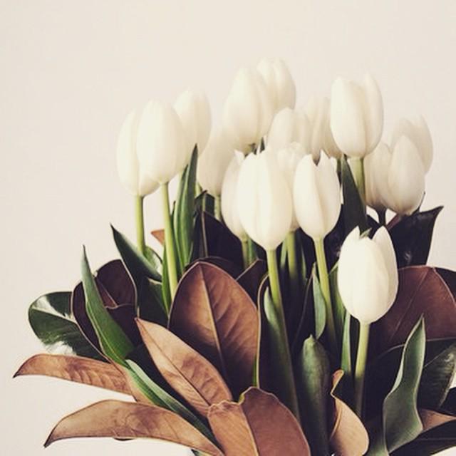 live_from_hell_'s tweet image. 