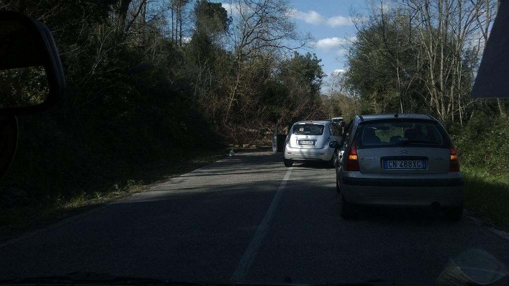 CARDINALEVERDE's tweet photo. @SandroFallani Scandicci strada provinciale 98 caduto albero  altezza Ex taverna del Diavolo http://t.co/awA3xaKv3A