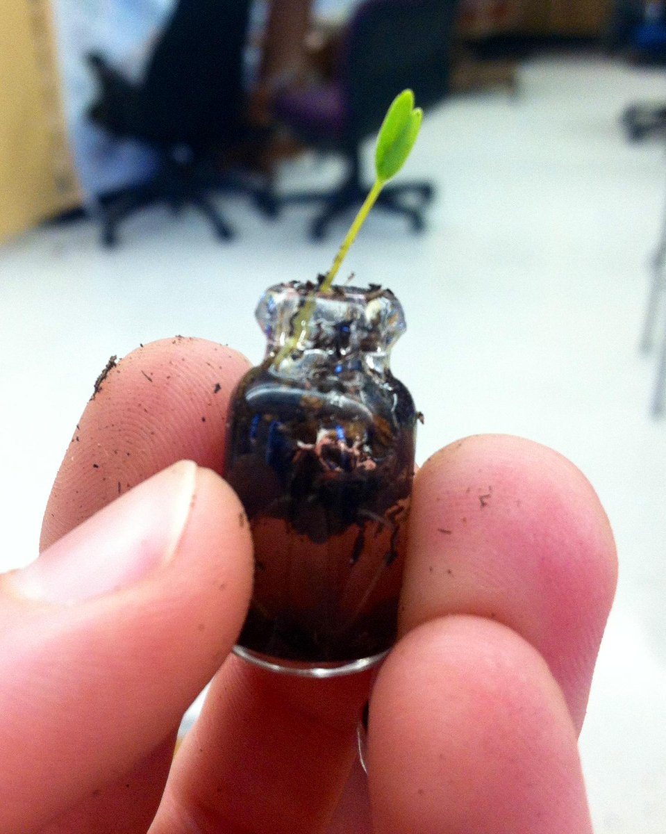 BuildaBiosphere's tweet image. Our tiniest biosphere! Tag us in your self-made projects #BuildABiosphere