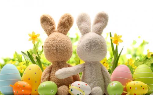 lebeaubeauty's tweet photo. Easter opening times: 
Thursday 9.30-6pm
Good Friday 9.30-6pm
Holy Saturday 9.30-5pm #beautysalon #Easter #Cork http://t.co/pXuey2Omrk