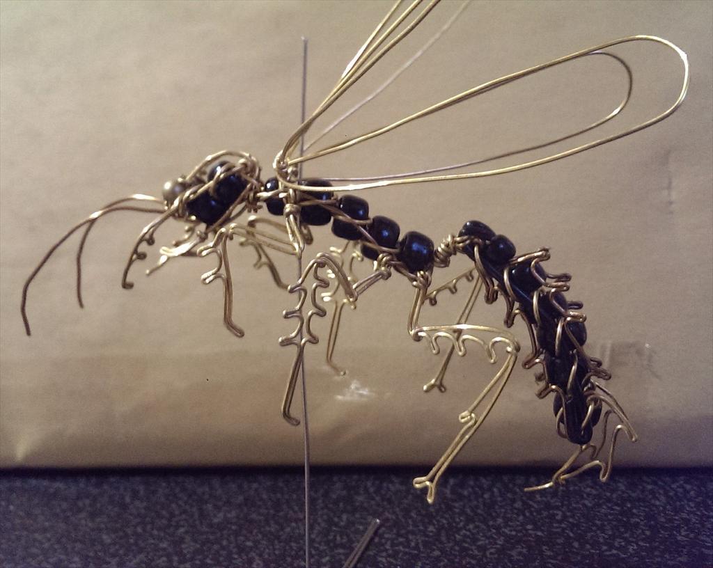 公式ショップ 大型 メガララ ガルーダバチ 標本 標本 【標本】「ハチの