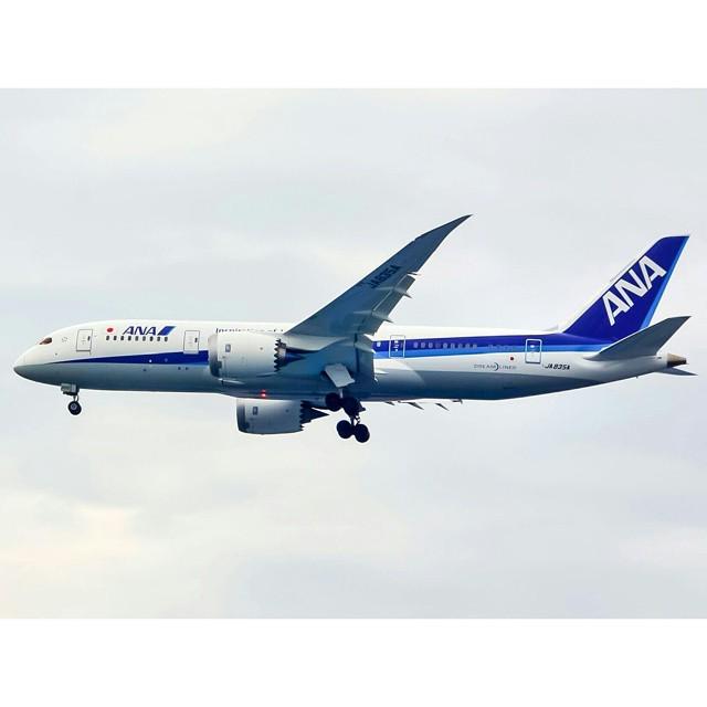MEGAPLANE's tweet photo. #MEGAPLANE by @ihikhi JA835A | All Nippon Airways | Boeing 787-8 Dreamliner | Approaching CGK | My entry for #is11t… http://t.co/bu9YeZQmle