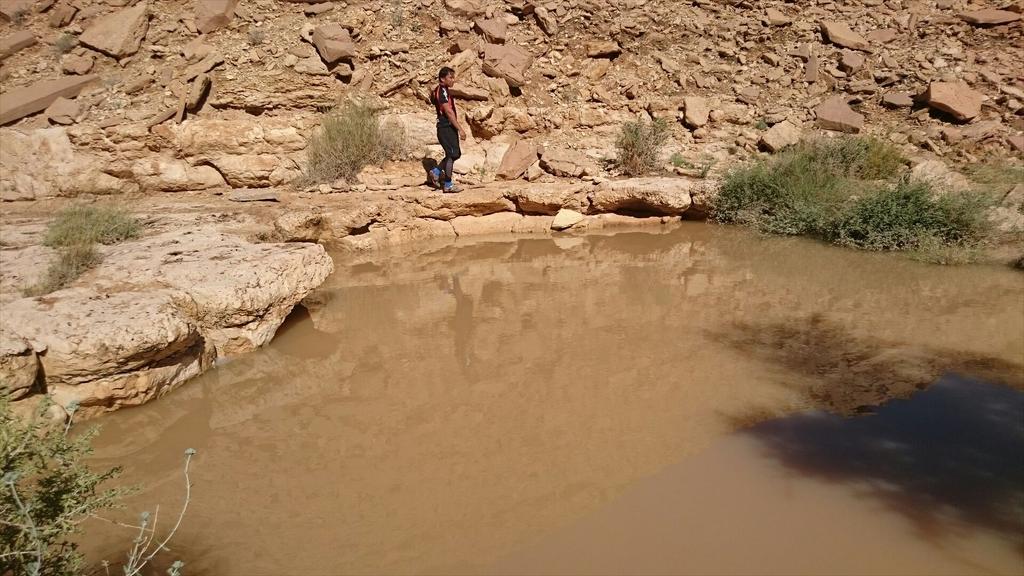 sidpalace's tweet photo. Done some trail biking in Riyadh with my PK friends.z http://t.co/X81TNzIegf