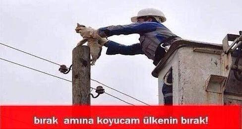 Elektriğin gitme nedenini bulduk