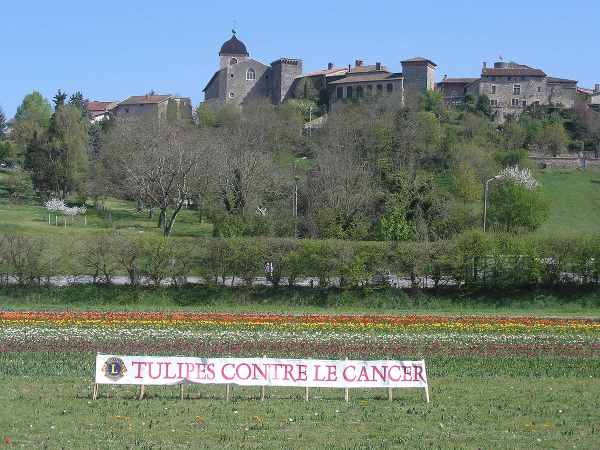 PerougesAccueil's tweet image. il faut super beau à #PEROUGES, une balade prévue avant midi