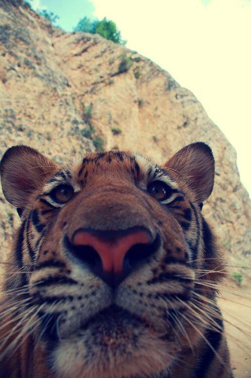 _Paisajes_'s tweet photo. OLA K ASE http://t.co/5nvrPjWhl4