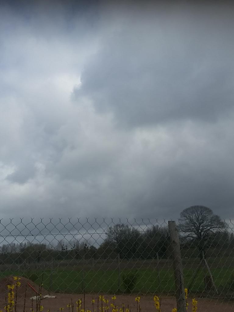 SlashRui's tweet image. 