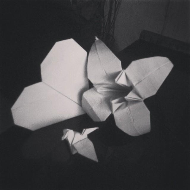 #origami #heart #lilyflower #swan suwong gaes. -_-
