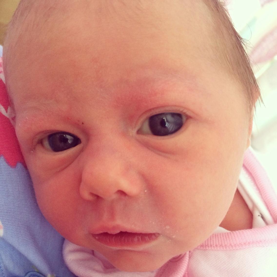 RosieCheeksA's tweet photo. #closeup #notcamerashy #izzy http://t.co/BgVKuHliYt