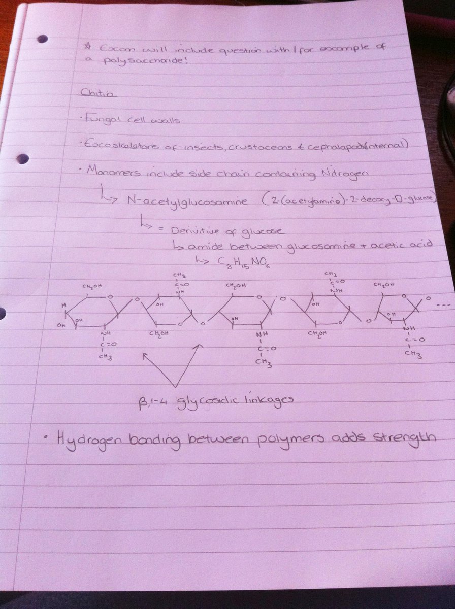 Eco_Charlie's tweet photo. I'm chitin the urge to stay on this subject. Alas, I must move on to a less fungi! http://t.co/XVOR4a37LZ