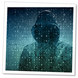 Check Point Software tweet media