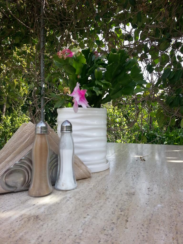 Babil S Garden Lapta Kyrenia Da Kafe