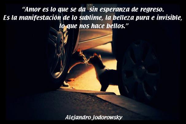 JungYPsicologia's tweet photo. #Amor es lo que se da sin #esperanza de regreso.Es la manifestación de lo sublime, la #belleza pura... @alejodorowsky http://t.co/9ZMNNwdkNm