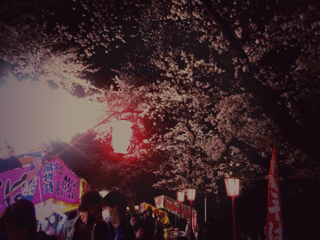 mc_ann7's tweet photo. 夜桜🌸💫 http://t.co/AsuacLGY0c