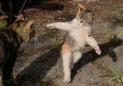 main_exitpaper's tweet image. いや、マジだって！このくらいの魚捕まえたことあるから！