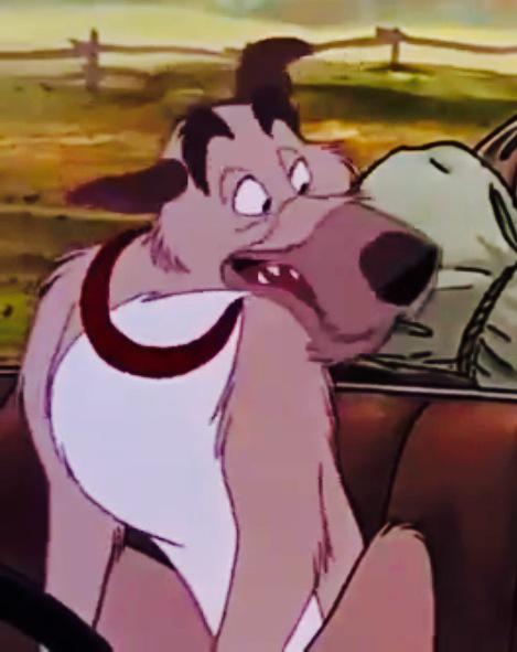 GrumpyGrey_Dog's tweet image. “Nu-Uh, sit in the back.” #FoxAndTheHound