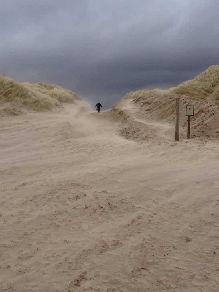 Harlech Triathlon tweet media