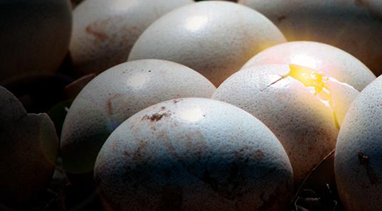 This weeks complimentary Image is now available to download.  bit.ly/1aeZDeJ