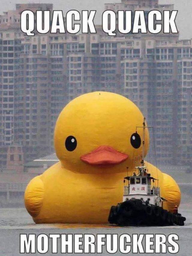 UrmanAlex's tweet image. Angry bird