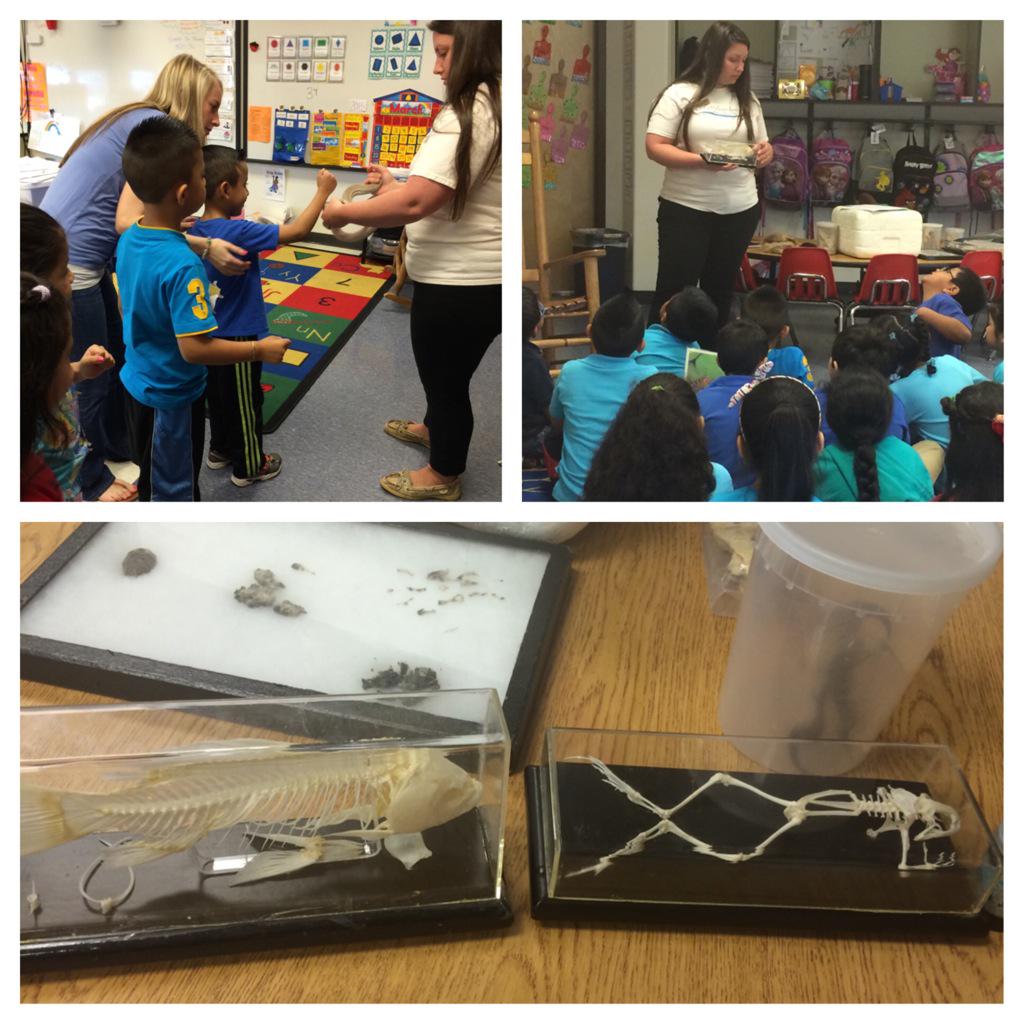 Thanks Chattahoochee Nature Center for teaching us all about animals! 🐸🐍🐢🐠 <a href="/LFLions/">LF Lions</a>