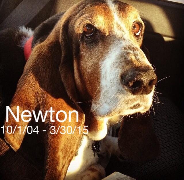 Heidi Paterson tweet media