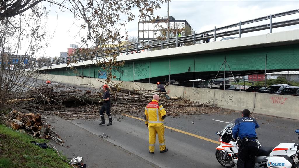 Un arbre est tombé sur la route des Jeunes et l'autoroute. Intervention en cours. #tempête #LBinfo <a href="/lemanbleutv/">Léman Bleu</a>