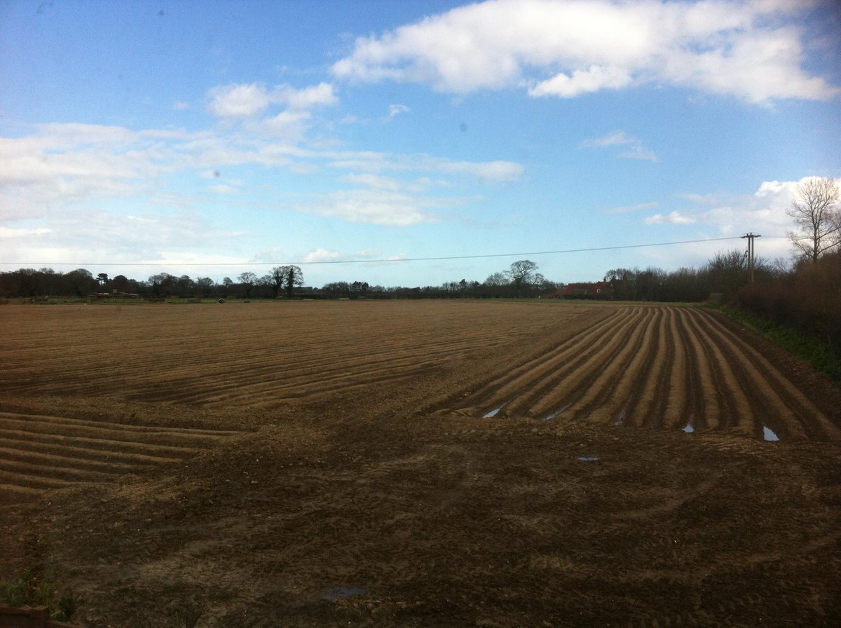 Eco_Charlie's tweet photo. A break in the rain = a break for the brain! #spring #Norfolk #revision http://t.co/EQUw7tNtQ4
