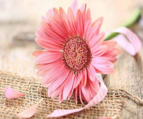 - منّ اجل الجنّة : أنّسجُوا قصورَا مِن الاستِغفار ، اللهُم اني استغفرُك منّ جميع الذنوبِ والخطايا واتوب إليك