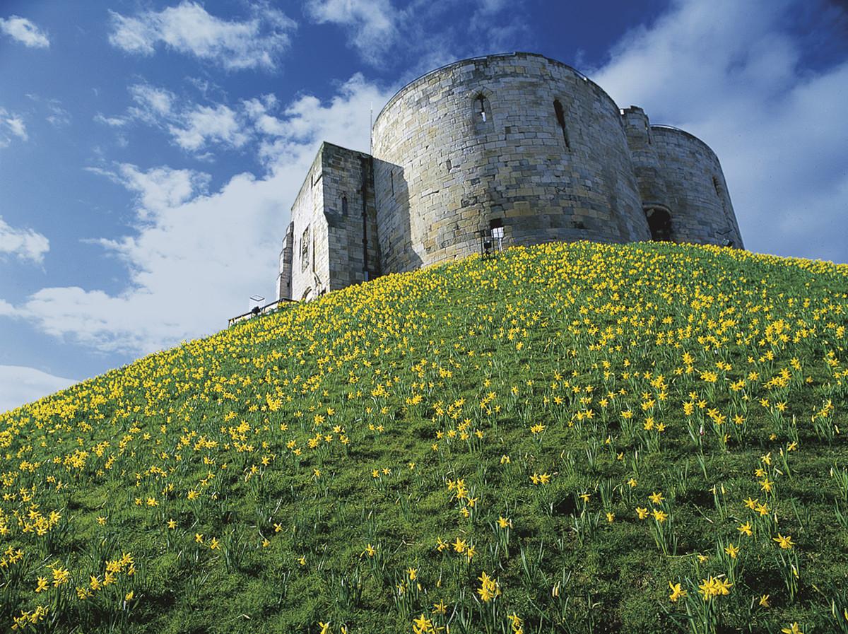 YorksFoodFinder's tweet photo. http://t.co/zWBZP3H279 @Starinnthecity @andrewpern @PuckettsPickles @guppyschocolate @haxbybakehouse @york_coffee http://t.co/zKhQJsoe2u