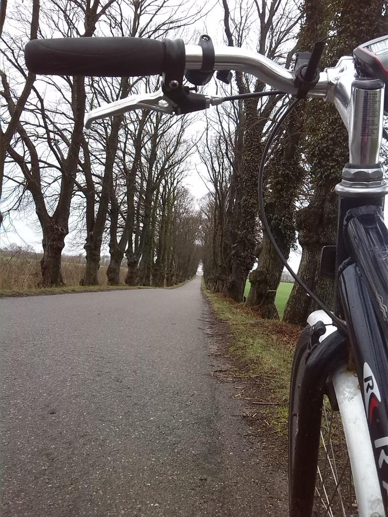 bikeAlottle's tweet image. After snow ❄ and storm 🍃 I found an hour of more quiet weather this afternoon #AATR #needtogetout