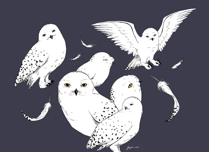 .@Sketch_Dailies Hedwig #hedwig #Sketch_Dailies #HarryPotter 