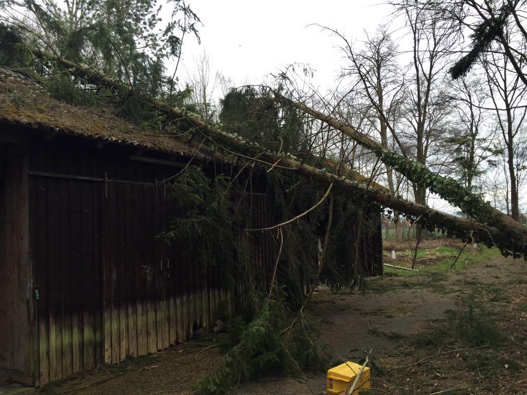 Dominik Hammerand tweet media