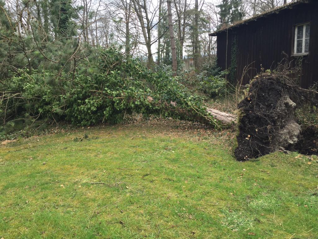 Dominik Hammerand tweet media