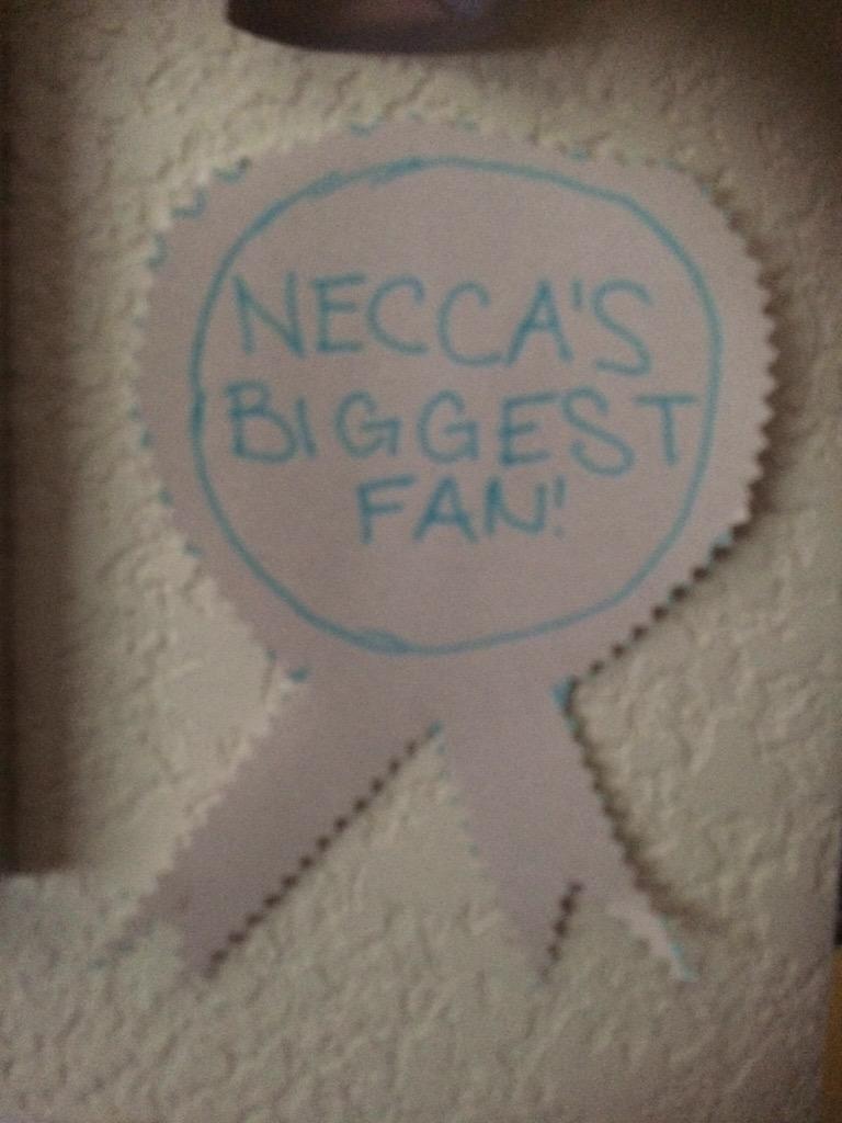 FanKidRachel's tweet photo. CAN'T BELIEVE NECCA'S BEEN AROUND FOR 2 YEARS WOW #NeccasBiggestFan #Happy2YearsNecca @thenoeltheory @AwkwardlyBecca http://t.co/WQQOrOUCFI
