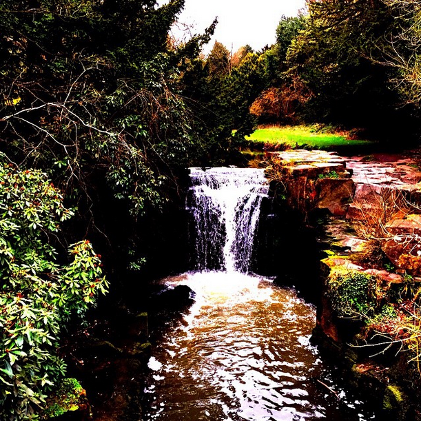 Caminando por Jesmond Dene! #naturaleza #nature #peace #paz #silence #falls ??#Inglaterra #newcastleupontyne