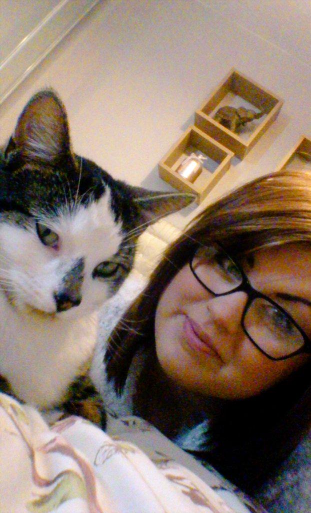 abbiespeake's tweet photo. I love my fur baby 😻 http://t.co/Xx2Ws72lO7