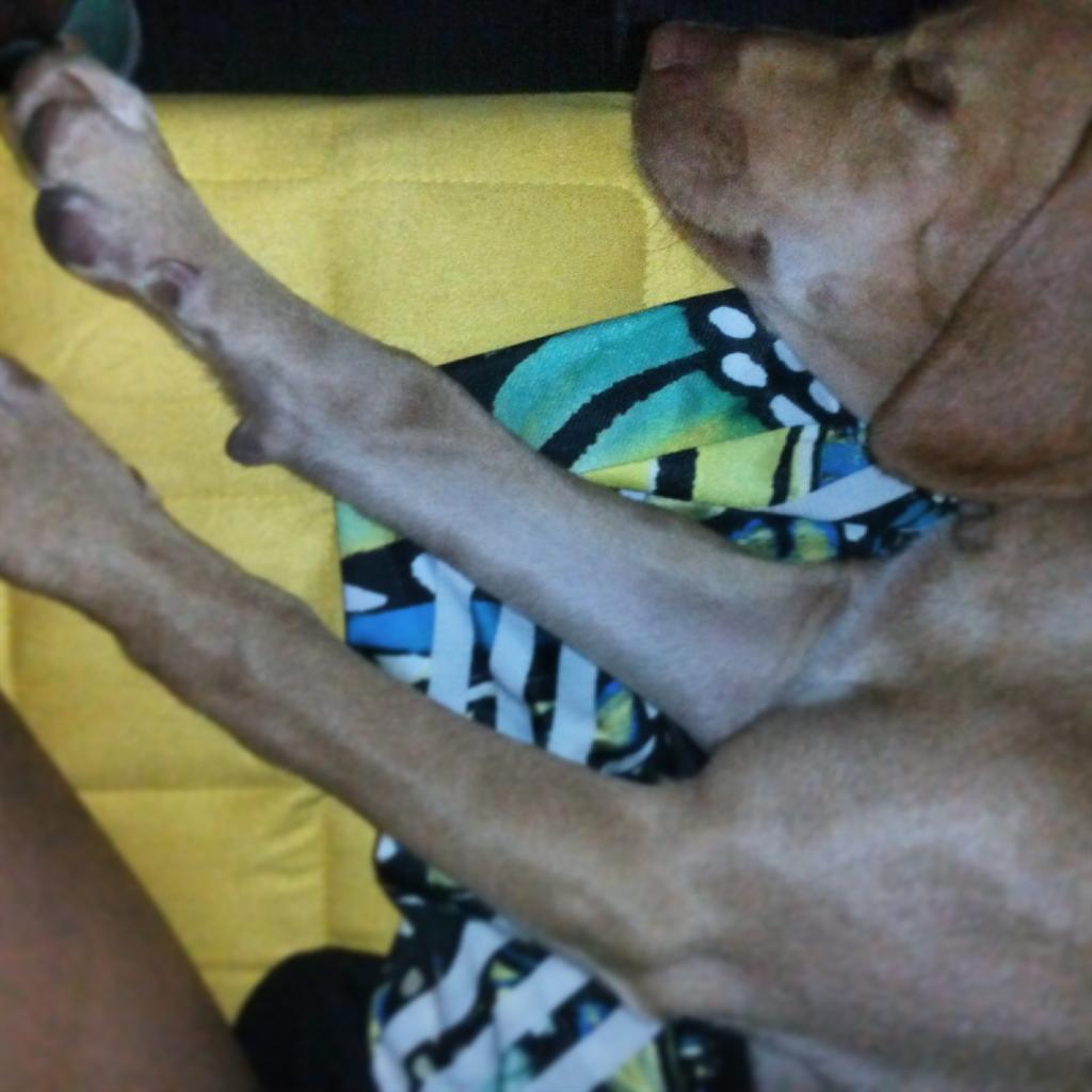 Mipiace93's tweet photo. http://t.co/E2rYLRMlS4