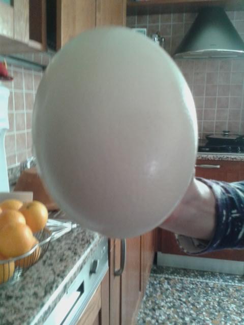 SteyGuerra's tweet photo. L uovo di pasqua dei miei nonni XD http://t.co/3jwK41wPA9