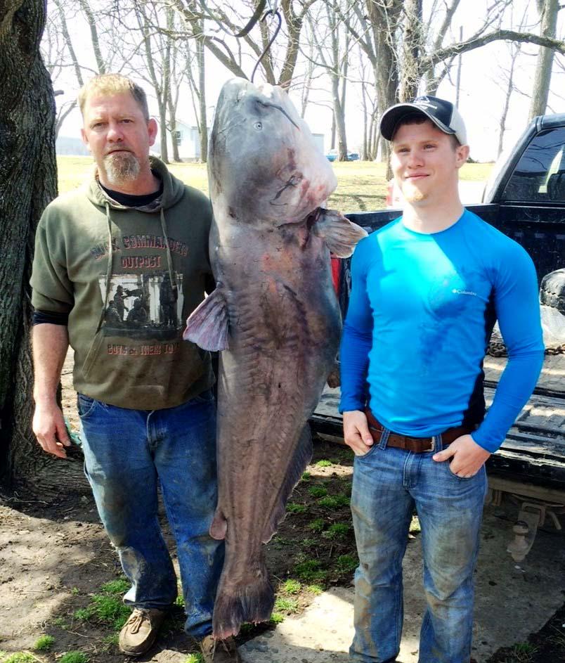 FloridaBassMag's tweet photo. NEW RECORD! - Missouri Man Lands Record 120-Pound Catfish with Trotline! - http://t.co/6NFcCCIidY http://t.co/qZJeTTDDbU