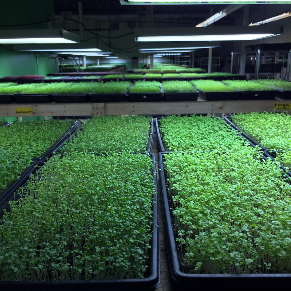 Touring with friends <a href="/2FriendsFarm/">2 Friends Farm</a>