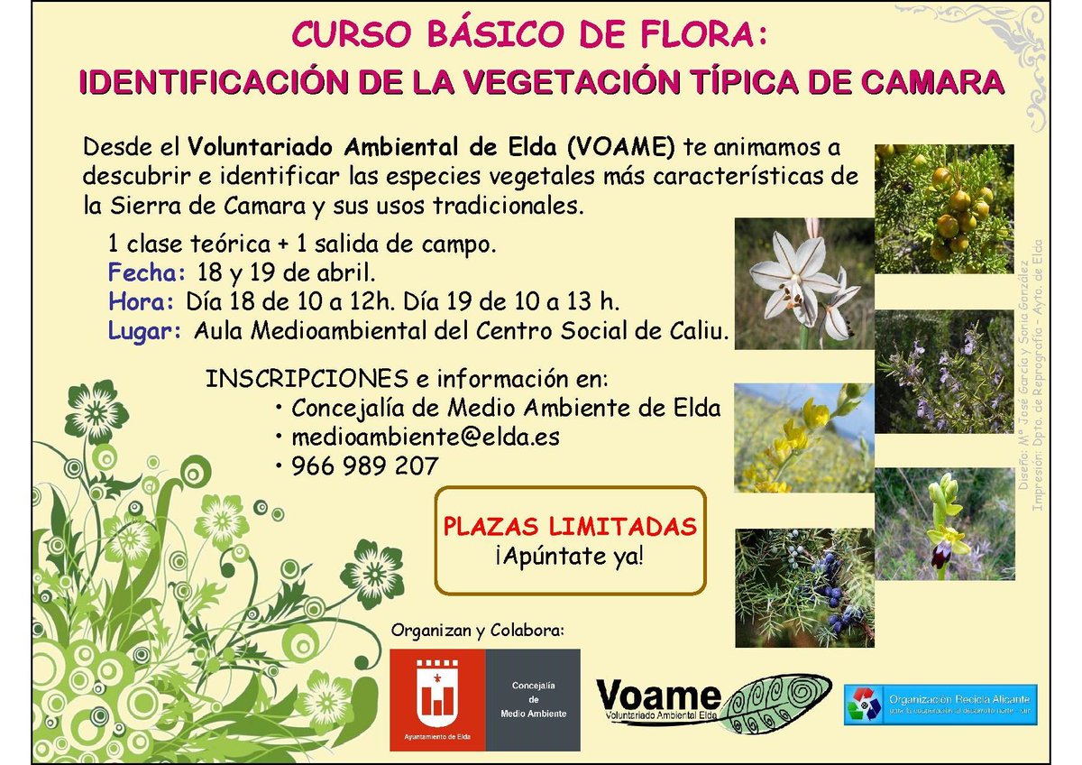 Curso básico de Flora tinyurl.com/pgfuyeh